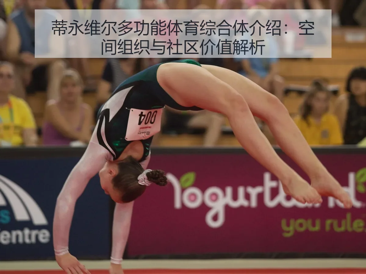 蒂永维尔多功能体育综合体介绍:空间组织与社区价值解析